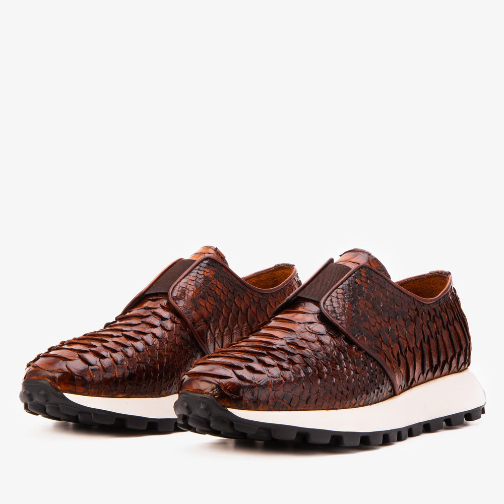 The Obsidian Tan  Python Leather Sneaker
