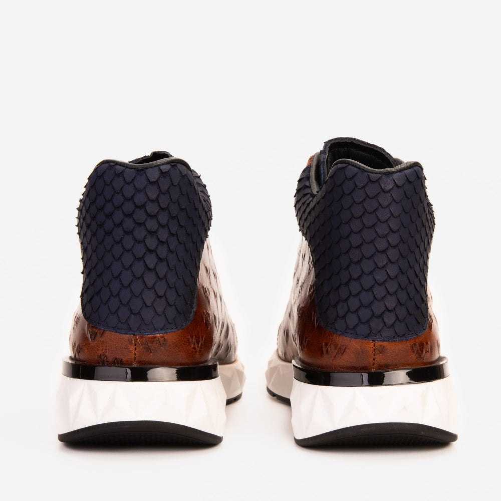 The Caesars Brown Navy Leather High-Top Sneaker
