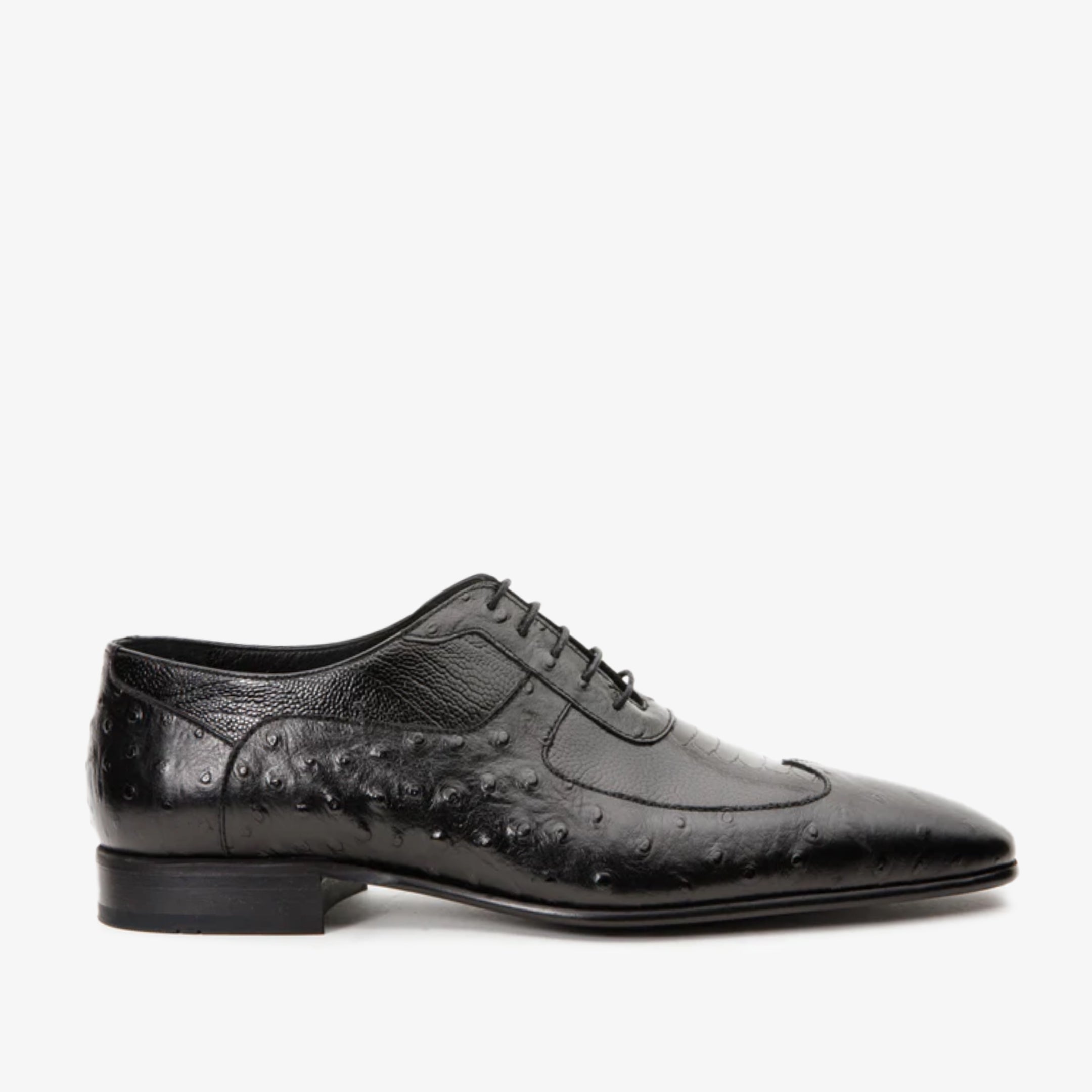 The Alabama Black Wingtip Oxford Shoe