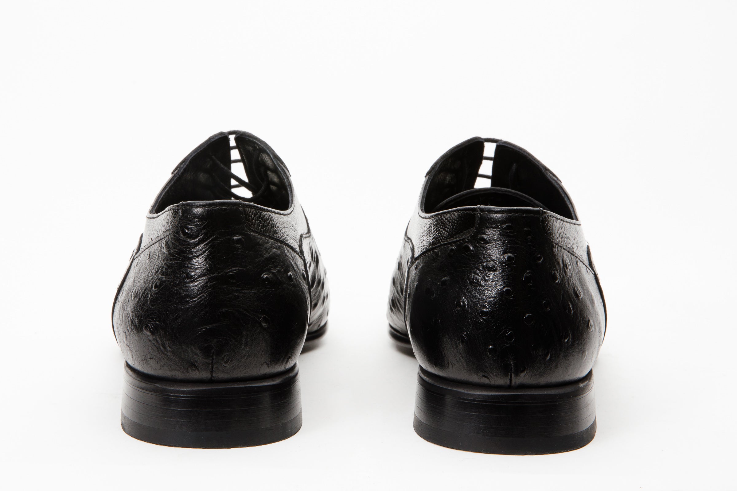 The Alabama Black Wingtip Oxford Shoe