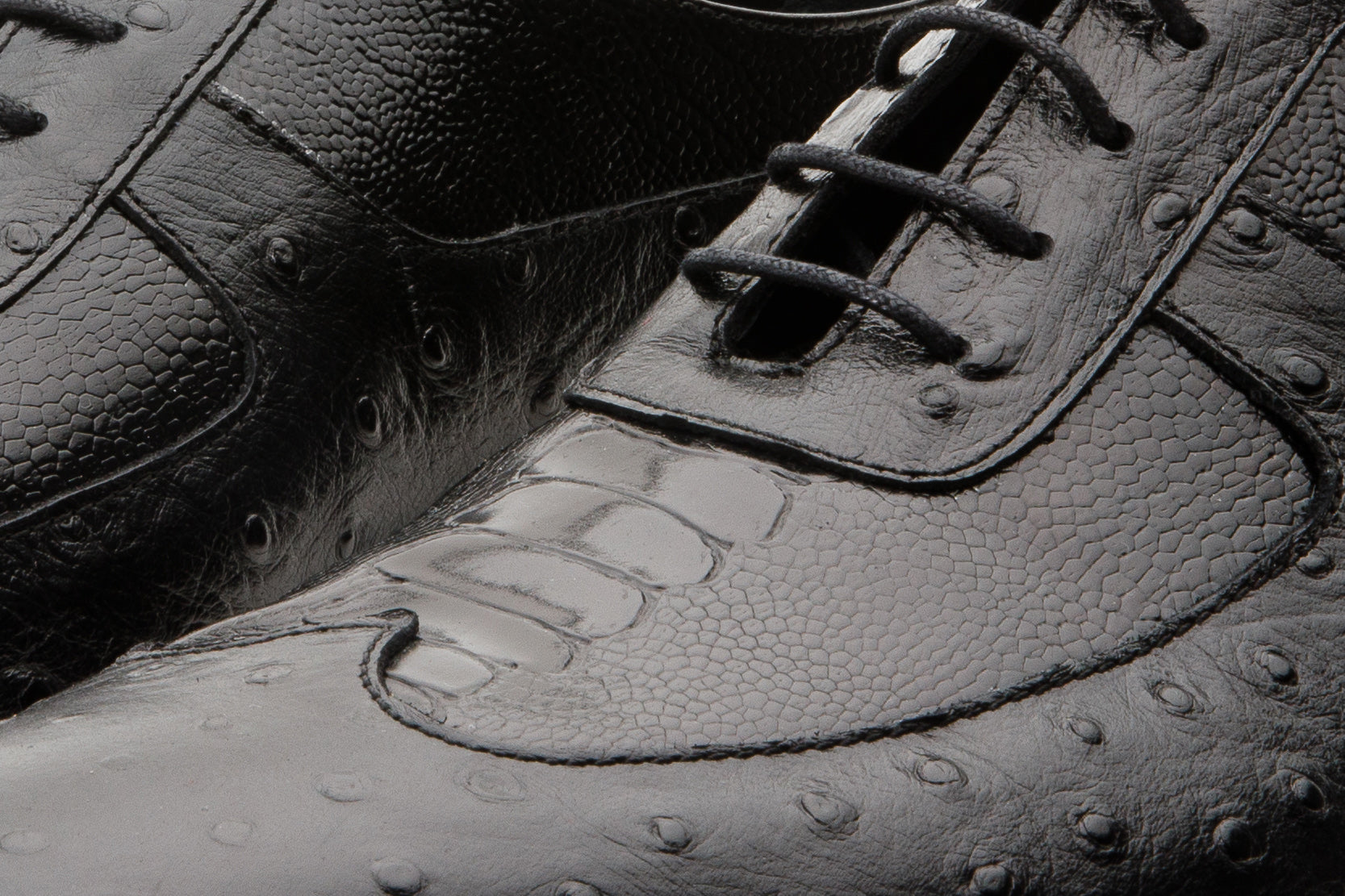 The Alabama Black Wingtip Oxford Shoe