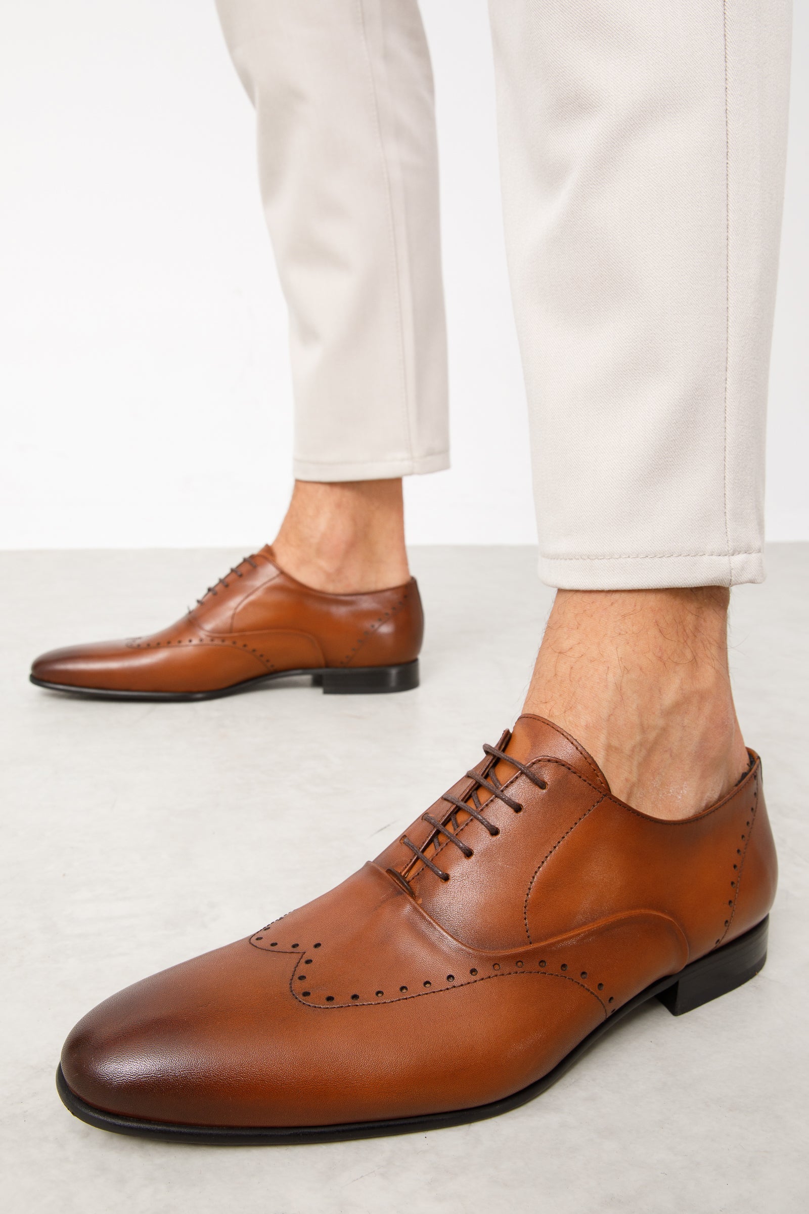 The Roma Tan Leather Wingtip Oxford Shoe